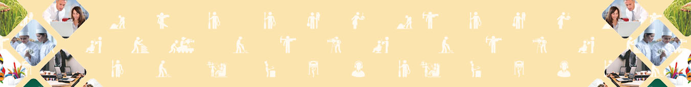 banner-top
